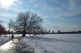 Bos03.jpg (54286 Ӧ줸)