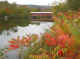 VT01.jpg (62267 �Ӧ줸��)