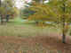 VT09.jpg (81200 �Ӧ줸��)