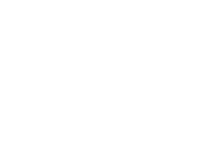 N.4.T Rear Camber