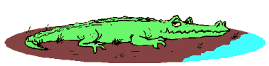 cocomove.gif (5615 bytes)