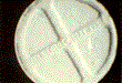 ecstasy1.gif (4066 bytes)
