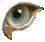 eyehawk.gif (1942 bytes)
