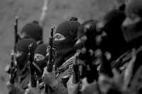 guerilla.jpg (5992 bytes)