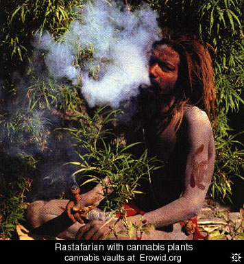 marijuana_smoker_rasta.jpg (65130 bytes)
