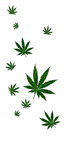 motajump.gif (6530 bytes)