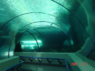 [Aquarium]