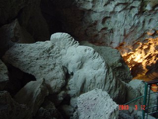 [Iguana Rock]
