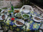 fisch02.jpg (182092 Byte)