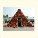 PICT1530.jpg
