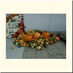 PICT1533.jpg