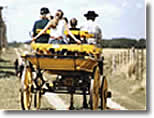 Turismo