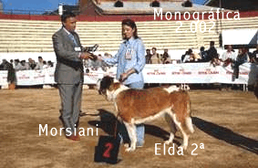 Morsiani, Elda, yo - mono.gif (46134 bytes)