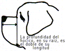 c3.gif (7742 bytes)