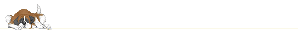 separador_SB.gif (3307 bytes)