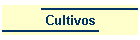 Cultivos