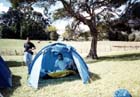 Montaje de Carpas