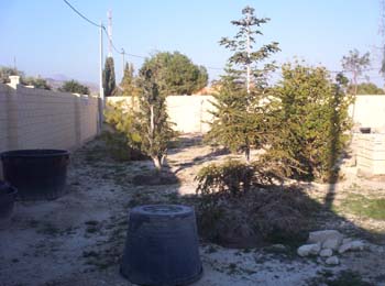 jardin