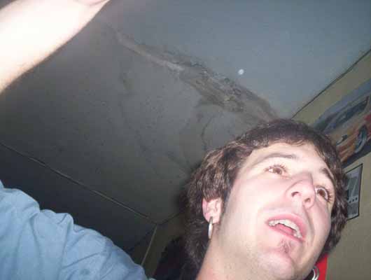 Imagen 175 de 180  -  22 kB