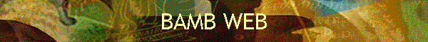 BAMB WEB