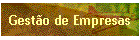 Gesto de Empresas