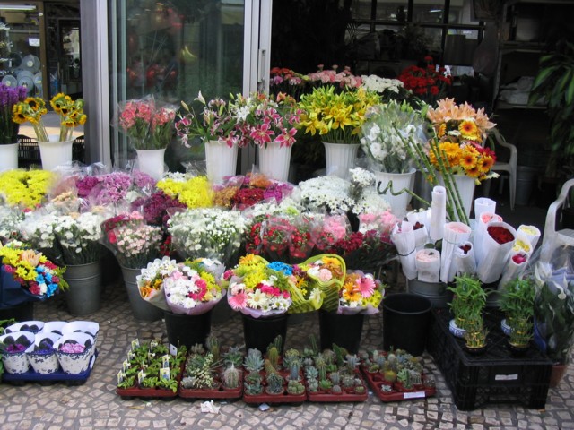flores.jpg