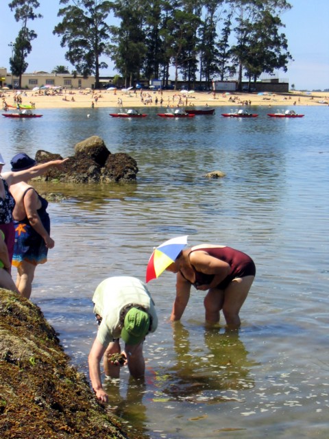 playa3.jpg