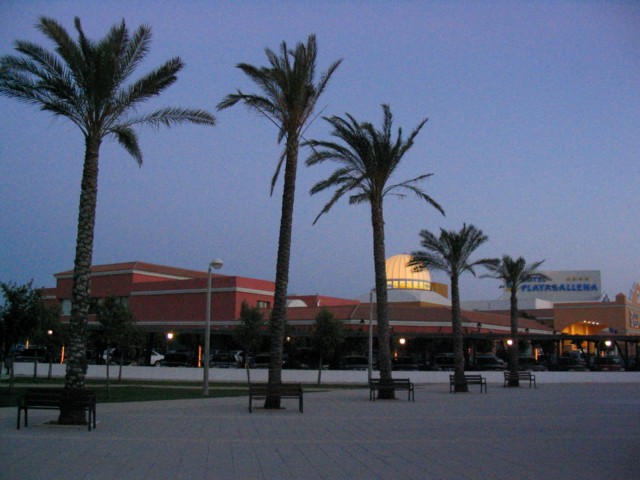 playaballena2.jpg