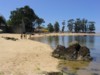 playa1.jpg