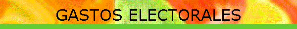 GASTOS ELECTORALES
