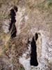 Sarcófragos antropomorfos excavados en la roca viva en la localidad de Bezana