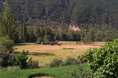 Campo de la Cuerguila