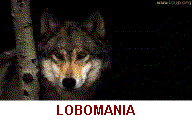index.htm_txt_l35_cmp.gif (6765 bytes)