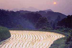 Morikawa Kyoroku (1655-1715)