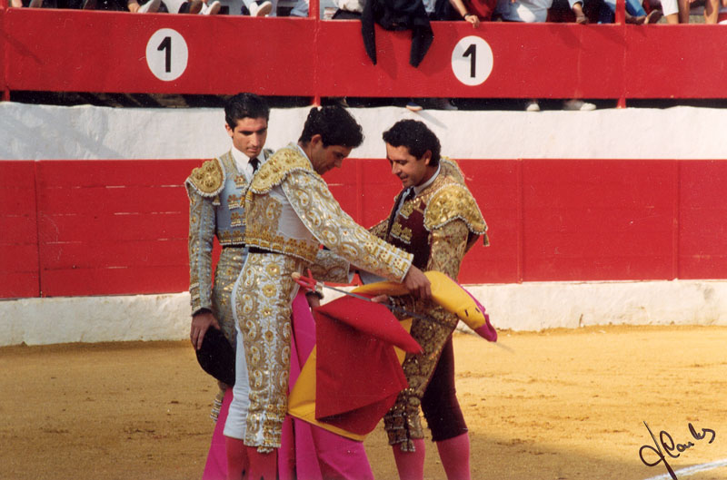 alternativa3