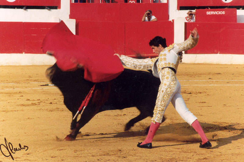 perezvitoria