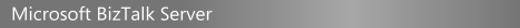 Microsoft BizTalk Server