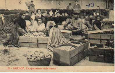 Encajando naranjas.