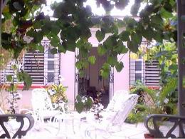 Patio Interior / Interior Backyard