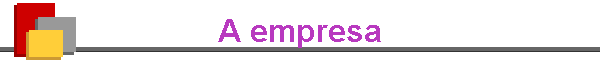 A empresa