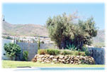 Vista del jardín
