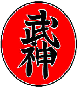 ninjitsu