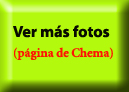 Ver mas fotos de Borja