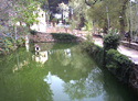 Santuario de Misericordia