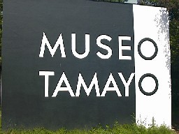 Tamayo