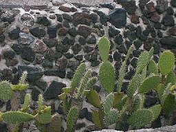 Tenochtitlan15