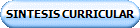 SINTESIS CURRICULAR