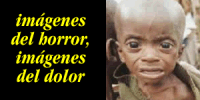 Diario Accion de General Rodriguez, politica, actualidad, noticias e informacion, personalidades e instituciones, policiales, galerias de fotos; historia de General Rodriguez, sus origenes, edificios, estancias, habitos y costumbres, anecdotas, comercios e industrias, los fundadores, antiguas instituciones, fotos e imagenes; suplementos especiales: la crisis politica, economica y social de la Argentina, los acontecimientos de Diciembre de 2001, articulos y entrevistas; Emigracion: toda la informacion destinada a aquellos que desean emigrar, radicarse o estudiar en el exterior, visas, pasaportes, consejos, guias, informacion util, links; Trueque: novedades e informacion, links, estructura del trueque; el casamiento de Maxima Zorreguieta y el principe Guillermo Alejandro de Holanda; Guerra de Afganistan: galeria de imagenes e informacion sobre la primera guerra del siglo XXI; la guerra de Irak, Bagdad, Georges W. Bush, Saddam Husseim, el atentado a las torres Gemelas de Nueva York, las twin towers, el 11-s, y descripcion del hecho que conmovio al mundo; Empleo: consultoras, clasificados, agencias de empleo, consejos e informacion util, curriculum vitae, como confeccionarlos, noticias de actualidad; 
Los numeros de la crisis: Las consecuencias de la crisis politica, economica y social; estadisticas, pobreza, desnutricion, salud y asistencia; noticias regionales y provinciales, columnas y editoriales; informacion para negocios: pymes, links, empresas y negocios; Agenda Cultural con toda la informacion de cursos, universidades, talleres, escuelas y oportunidades, exposiciones de arte de la region; buscadores en Internet, Enlaces: links a los mejores sitios de educacion, cultura, arte, biografias, politica, interes general, web, Links del Diario Accion: RMS Titanic, su historia, su tragico viaje inaugural; historias, testimonios, documentos y articulos sobre el naufragio; links y sitios sobre el tema; la pelicula de Cameron, fotos e imagenes; suplementos especiales, Historia Argentina y de General Rodriguez, la llegada de la democracia en General Rodriguez, la asuncion de Juan Lumbreras como intendente en 1983, galeria de imagenes, sus palabras y los actos, su gabinete, festejos de la comunidad. Fundacion del pueblo de General Rodriguez, sus instituciones y personalidades relevantes, arquitectura y edificios, comercios e industrias, sus comienzos, estancias, inmigraciones italianas, espaolas, vascas e irlandesas, anecdotas y efemerides, sus hombres ilustres, el Hospital Vicente Lopez y Planes, su fundacion por las Damas de Beneficencia, el hundimiento del crucero General Belgrano, testimonios de ex combatientes y tripulantes, su comandante Hector Elias Bonzo, fotos e imagenes, recuerdos y homenajes, historia de la familia Bonzo de General Rodriguez, entrevistas y articulos periodisticos. La guerra de Malvinas en el Atlantico Sur, el conflicto belico con Gran Bretaa de 1982, politicos relevantes, Benjamin Paez y Trueba, fotos antiguas de familias fundadoras, galerias de imagenes de pobladores, recorrida virtual por el antiguo General Rodriguez, el paso de la Infanta en 1910, historia de La Serenisima, la familia Mastellone, La Choza, Bernardo de Irigoyen, peronismo y radicalismo y muchisimo mas