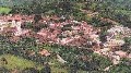 Panormica
