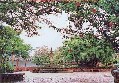 Parque central
